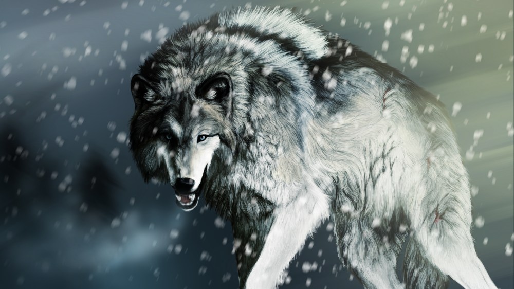 Wounded-wolf-in-the-winter_2560x1440.jpg