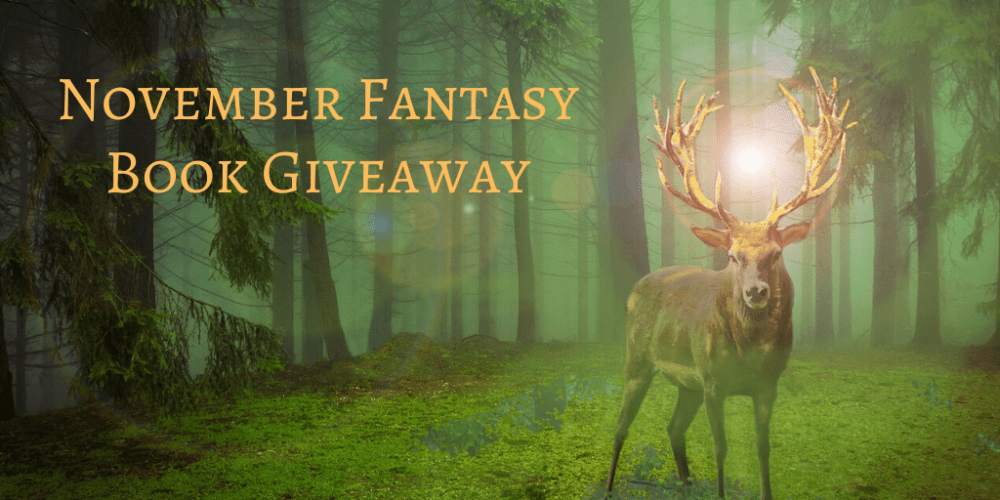 November Fantasy Book Giveaway