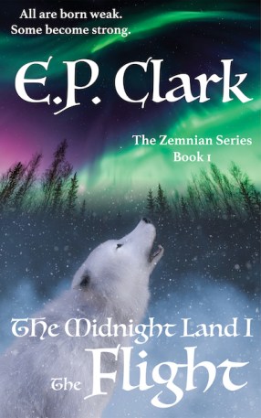 TMLI Cover 2020 with text small